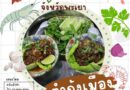 ตำกุ้งเมือง” เมนูสุดแซ่บที่คว้าแชมป์ “๑ จังหวัด ๑ เมนู เชิดชูอาหารถิ่น”